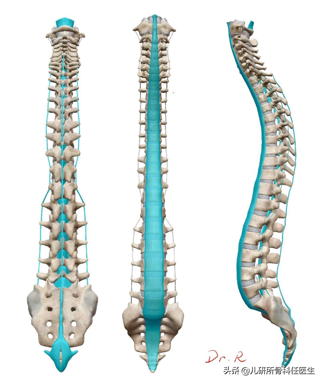 孩子含胸驼背无法矫正看完这些家长就知道该怎么做了