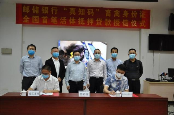 中国生猪交易市场今日热点：猪价单日跌幅最大