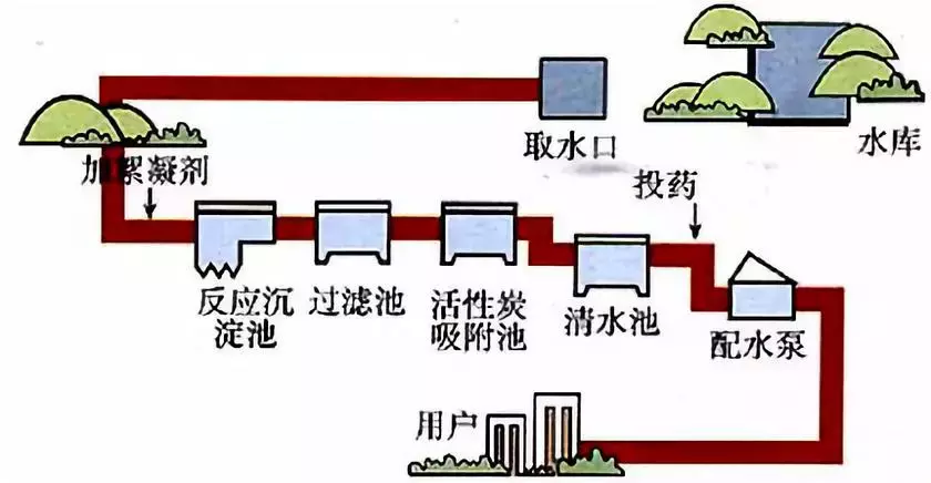 自來水不宜養(yǎng)魚的原因和危害——自來水中主要含有“氯”的成份