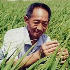袁隆平爷爷，是去天堂研究水稻了……