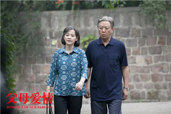 《父母爱情》为什么安家人非逼着安杰嫁给江德