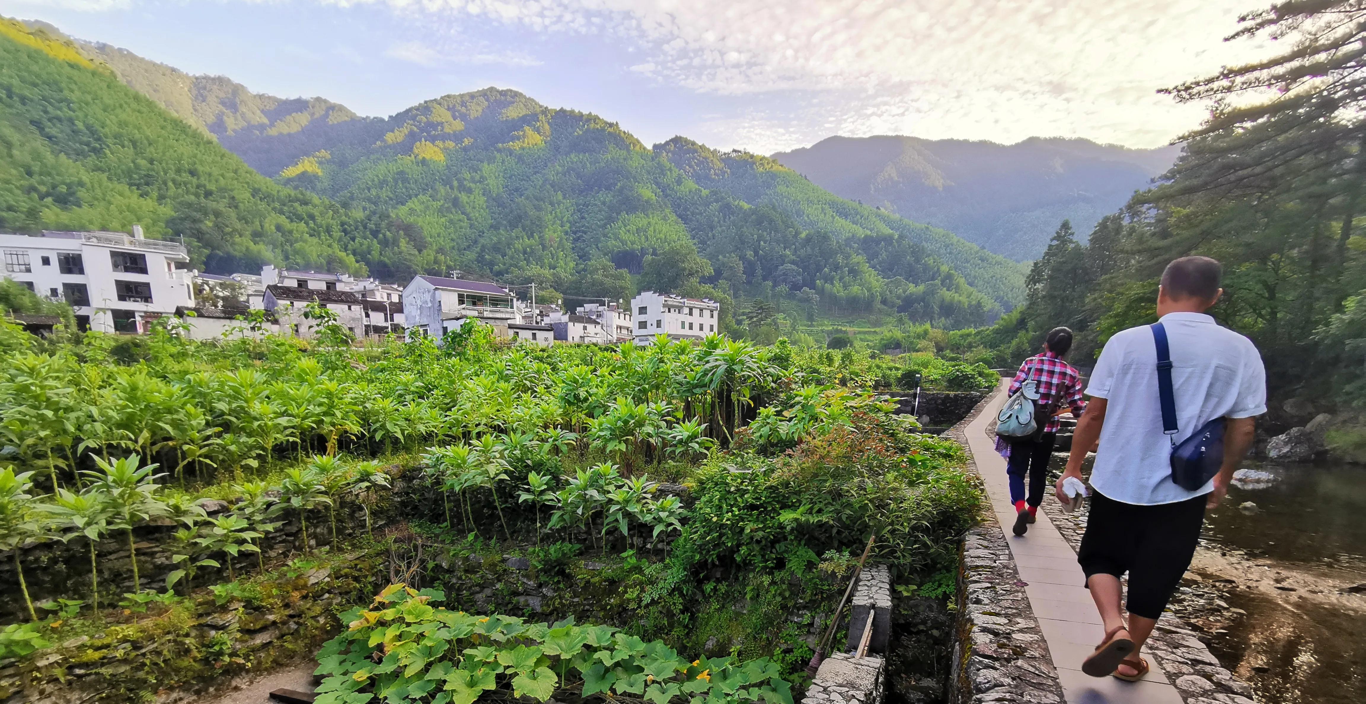 夏天去婺源：920米鄣山村避暑，13公里密林穿越，雨天看卧龙美景