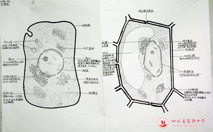 四川省简阳中学怎么样?首届生物学科节(图34)