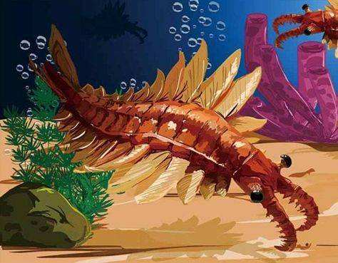 丑陋无比的奇虾，是5亿多年前海洋中无可争议的恐怖分子