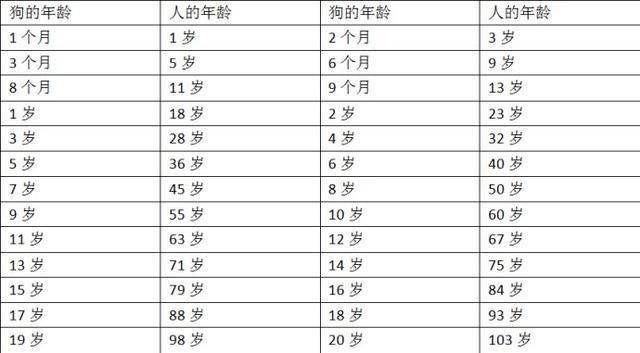 3分钟，带你看完一只狗的一生