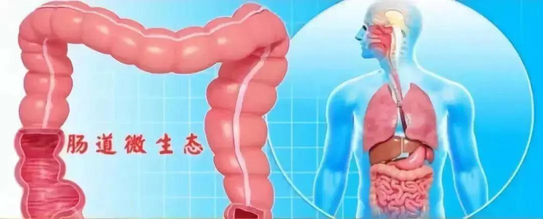 身體有這些表現，說明該好好�清理�了！ 用對天然食物，給身體做個�大掃除�