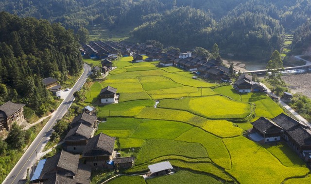 新手做自媒体，有没有什么捷径可以快速成功？