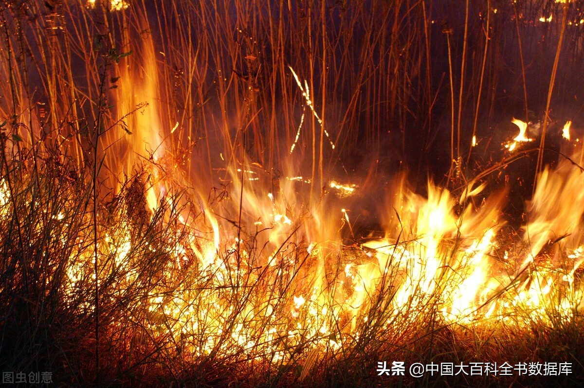 Is the flame produced by the burning of a substance a solid or a gas