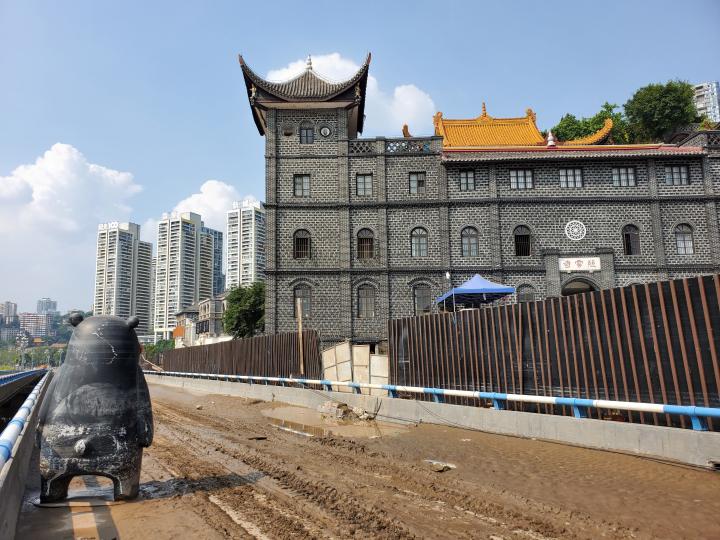 一只|重庆还有一只熊本熊在漂流 它的家人正接它回家