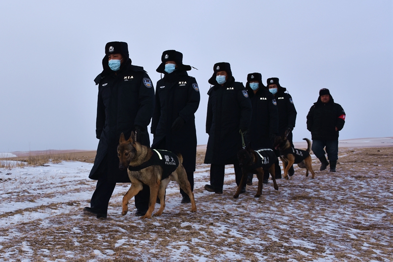 警犬来喽!