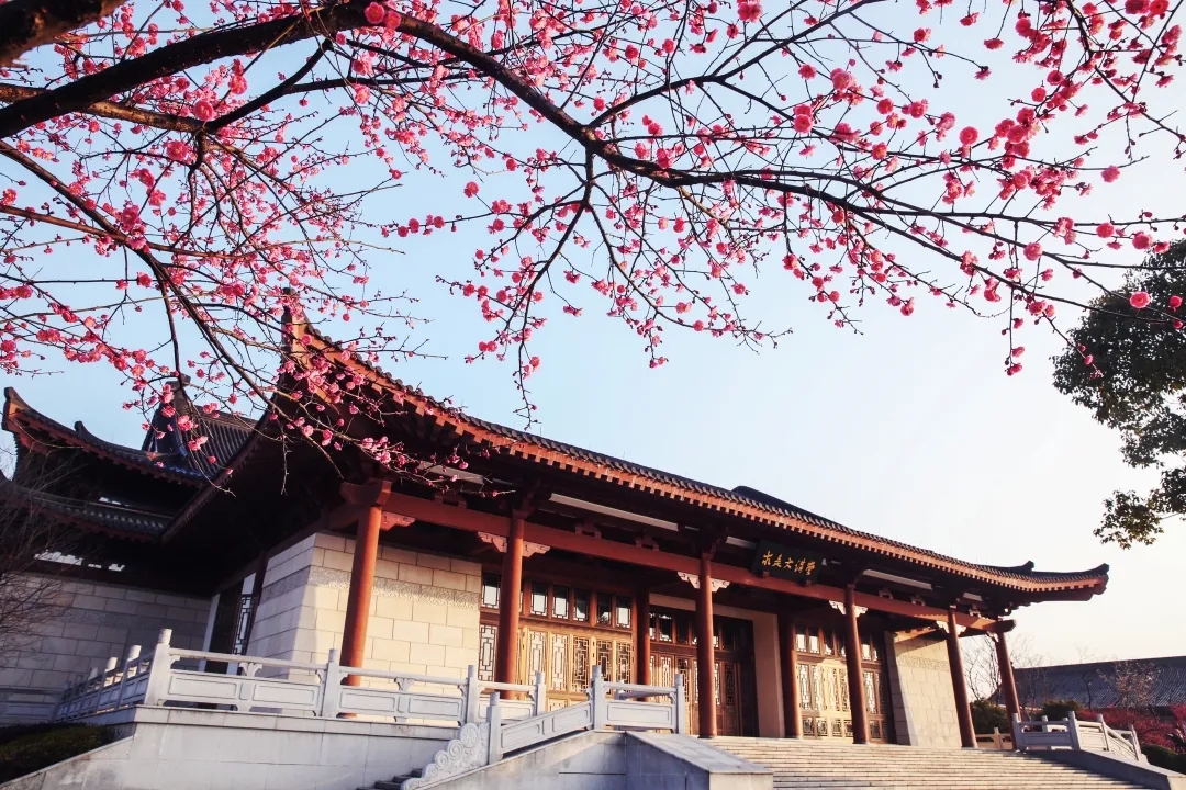 2021中国大学本科新生与毕业质量排行榜,前四是清华、上科大、北航、北大