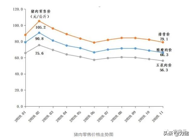 最新！自繁自养头均盈利1538元，仔猪价格每头降至1106元