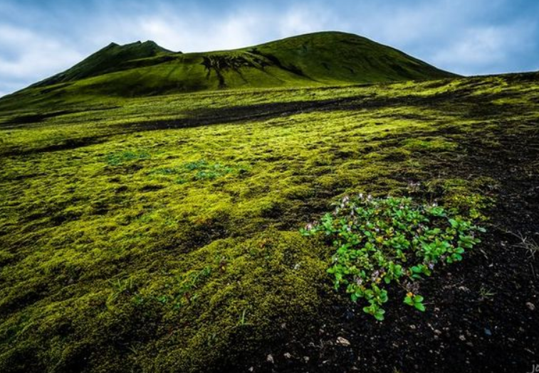 美卫星拍下一张照片，罕见承认：中国在环境保护中功不可没