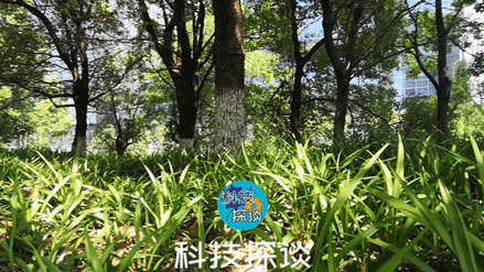 不再为拍摄Vlog发愁，好用不贵的浩瀚小Q云台测评