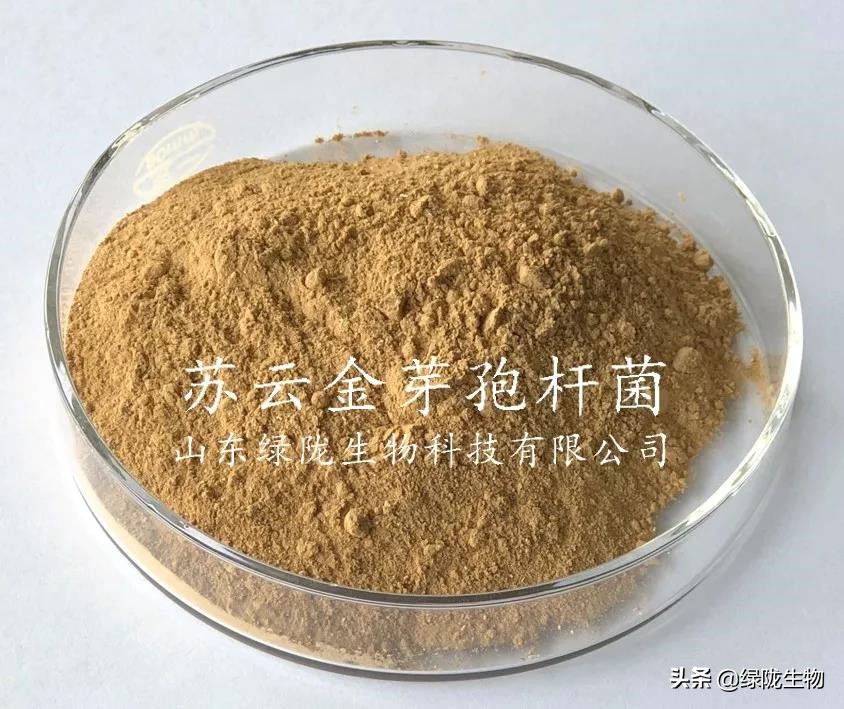 微生物菌有多强大，种植、水产、养殖都离不开它！（一）