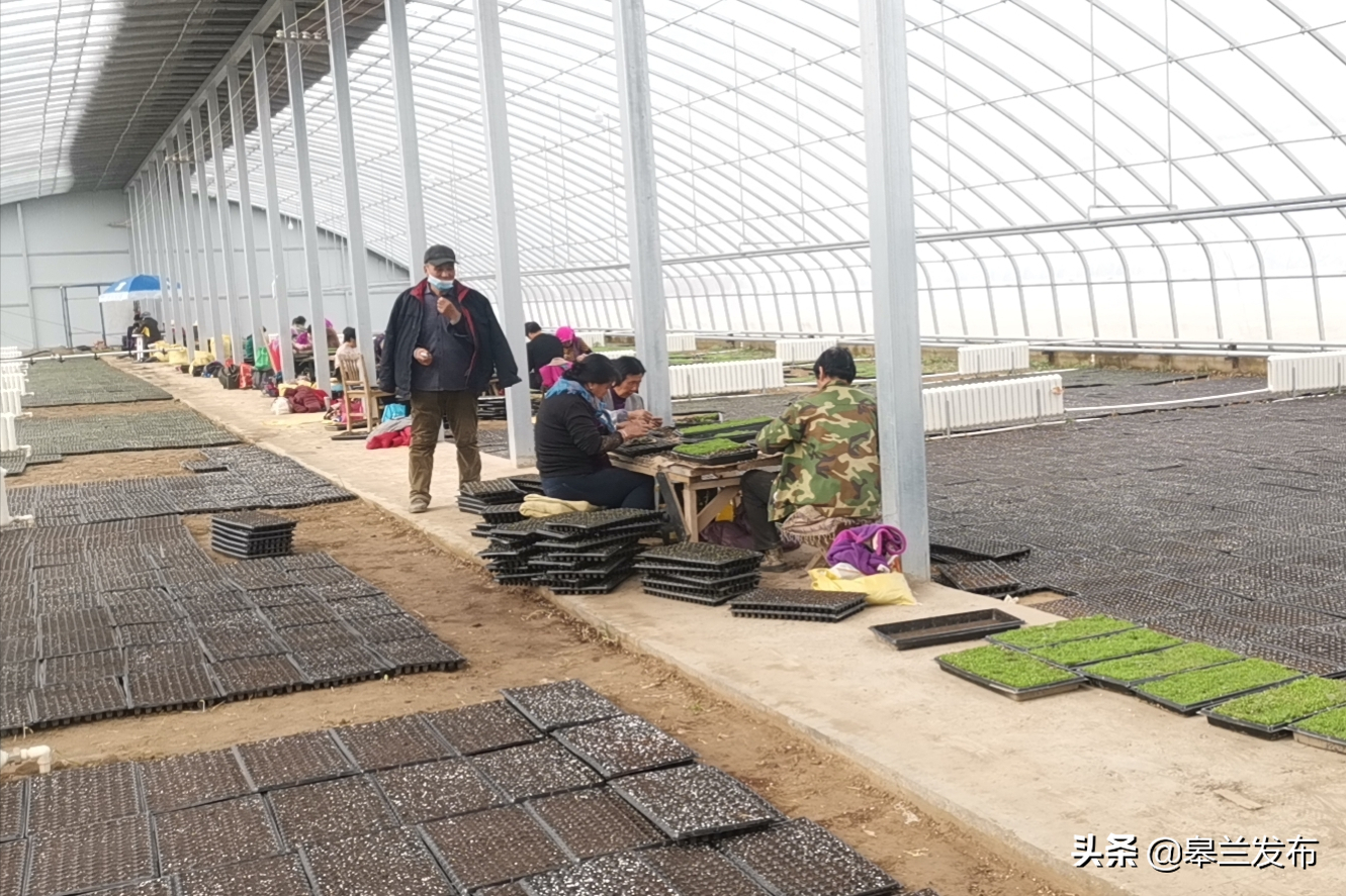 һ��֮�����ڴ� һ��þ�����������������ʯ����ȫ���Ը�ץ�ô�������