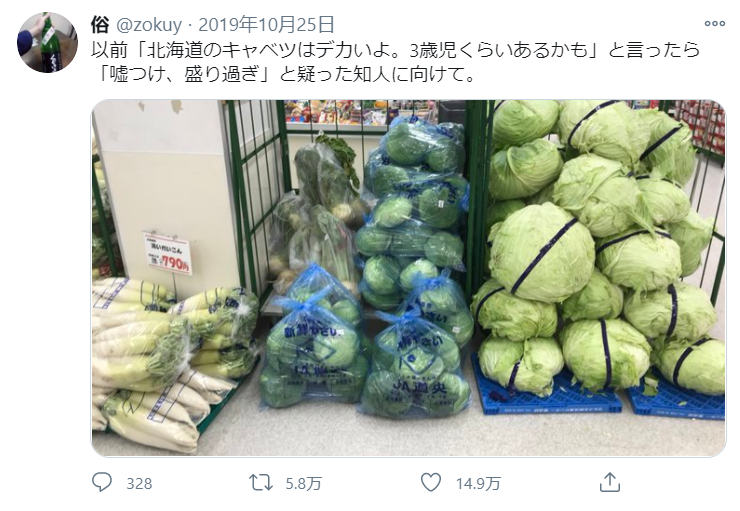 壮观！日本网友买到比购物车还要大的卷心菜！这也太夸张了吧