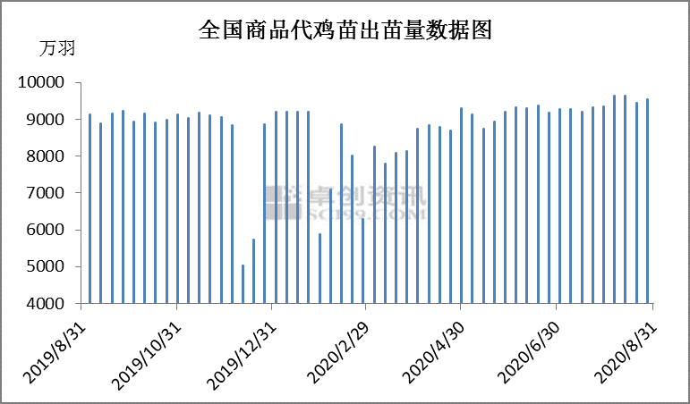 8月全国父母代种鸡存栏量、商品代出栏量再增