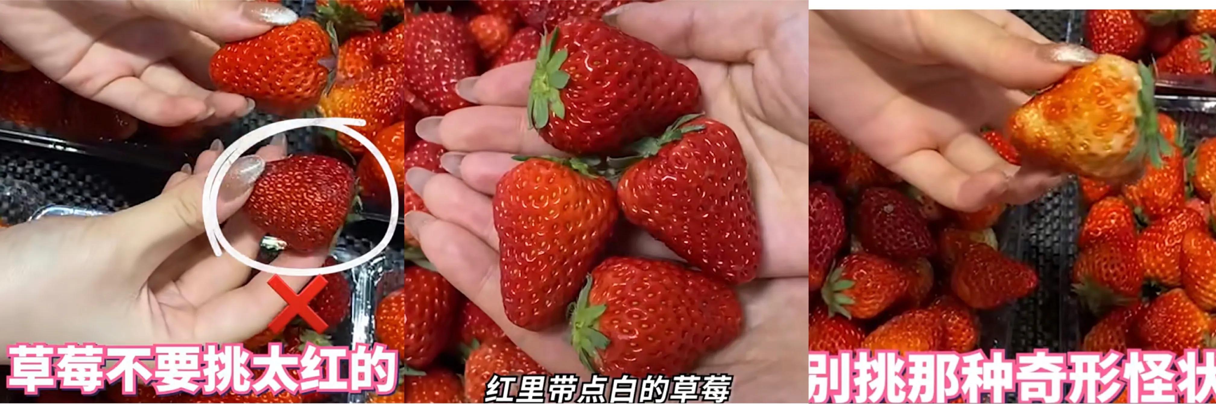 幾招教你挑選好的水果
