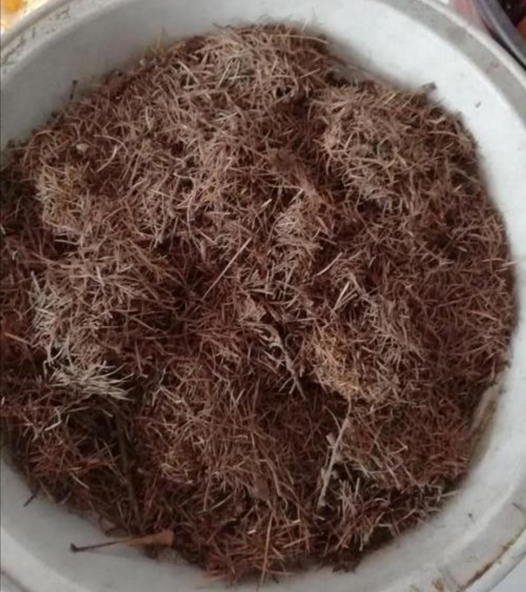 The pine needle soil is collected, how to deal with it to grow flowers ...