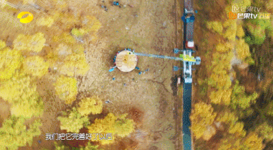 看完这篇文章,才知道内蒙古的秋天有多美