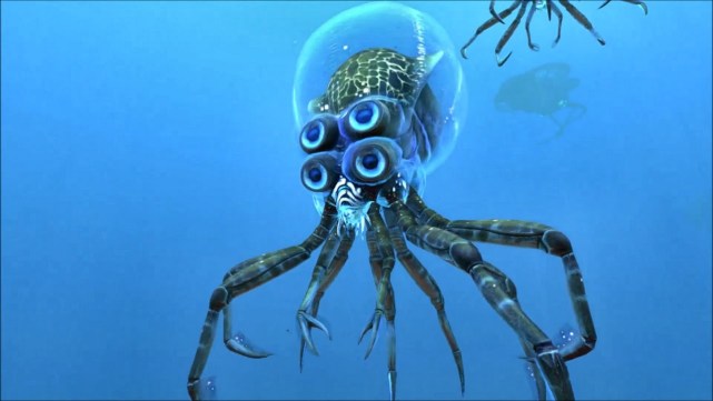章鱼为何会以自杀的方式繁殖？明明可以称霸海洋，却“英年早逝”