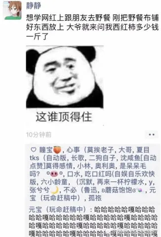 朋 友 圈 高 赞 野 餐 美 图 价 格 一 览