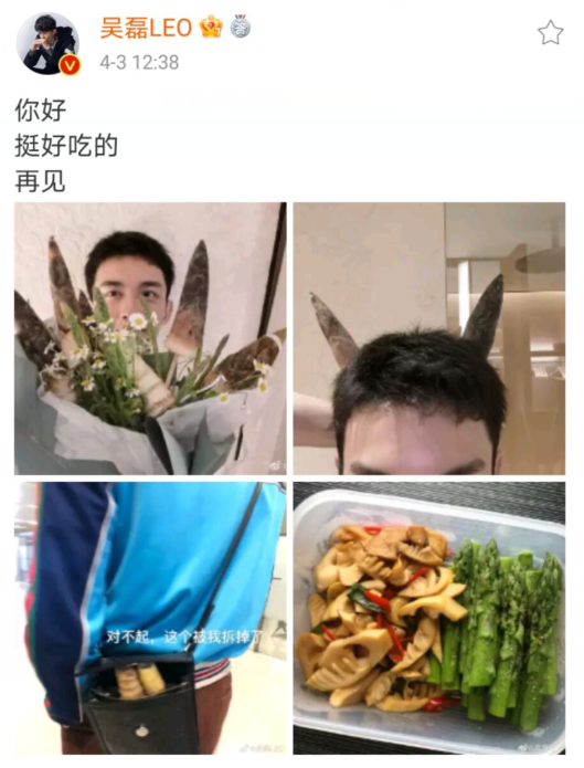 Does falcon take bamboo shoot? The bamboo shoot that Wu Lei sends airport of vermicelli made from bean starch ate