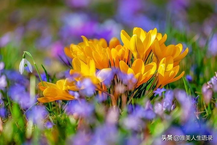 人生15句积极向上，一生受用的心灵鸡汤，阳光正能量经典语录-第10张图片-非凡网