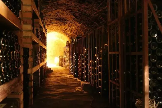 葡萄酒品鉴中所谓的酒体、单宁、余味、平衡指什么？