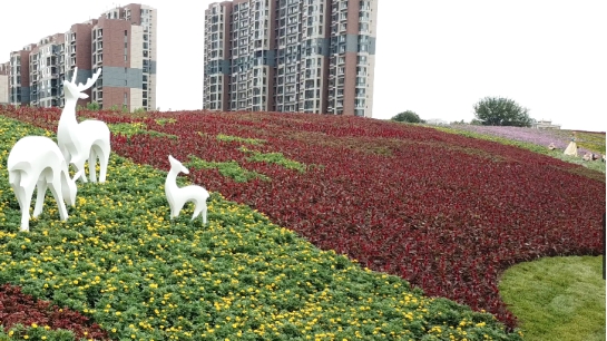 山东青岛：城阳街道打造创城亮眼新地标