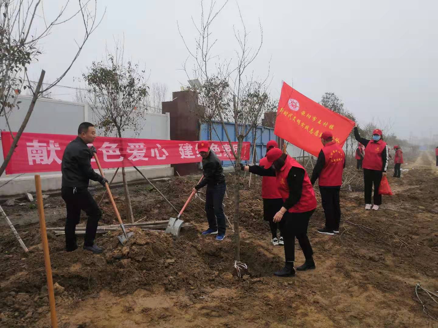 荥阳市王村镇：春风催新绿    植树正当时