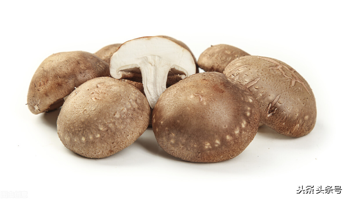 The medicinal value of shiitake mushrooms!Learn the health knowledge of
