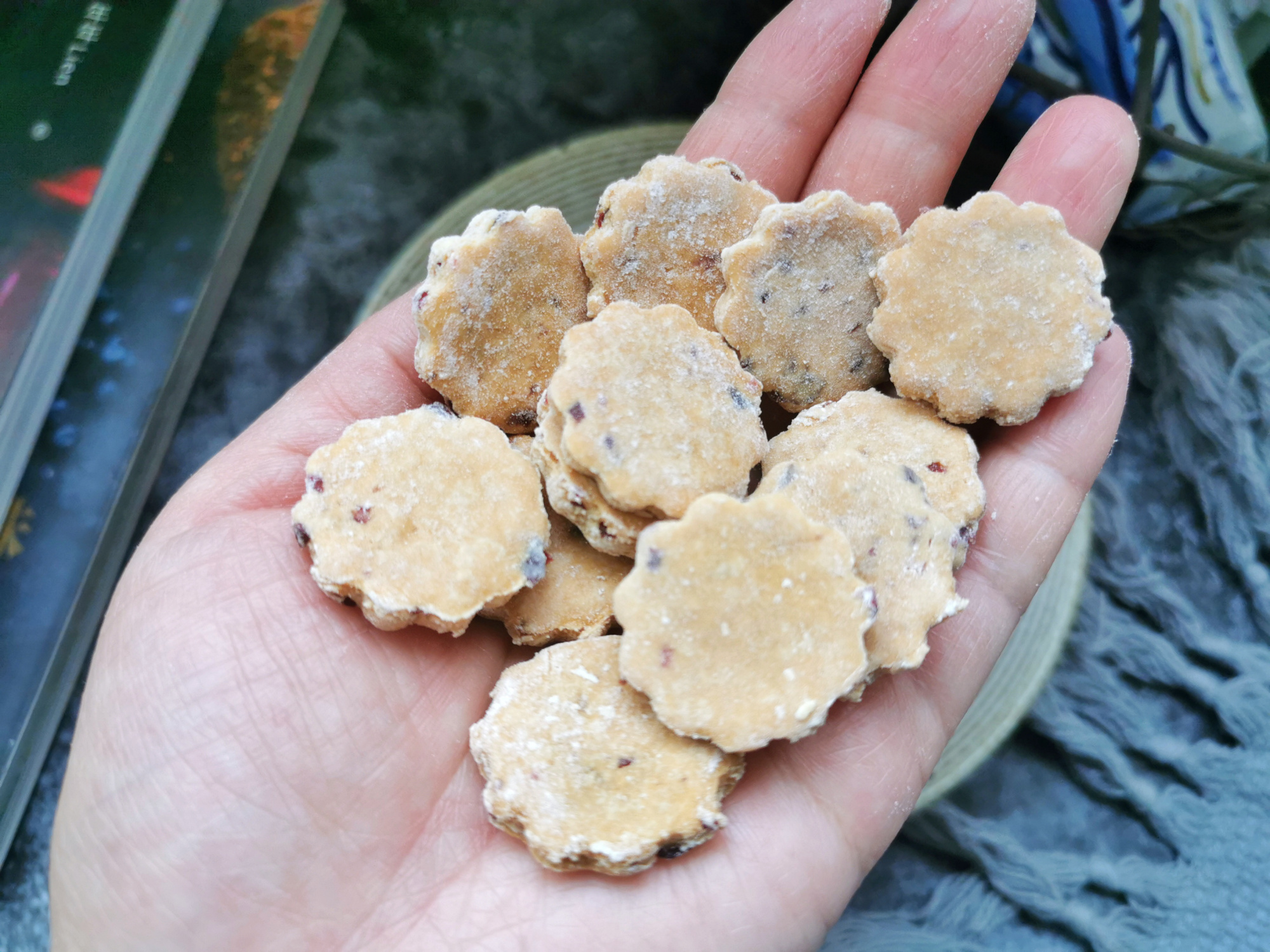 想吃奶片不用買，教你用奶粉做，健康美味零添加，大人孩子都愛吃