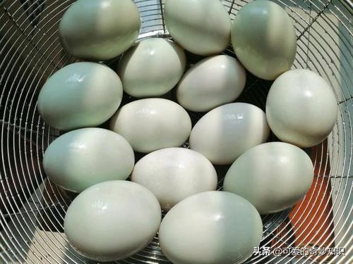 鸡蛋、鹅蛋、鸭蛋，哪种营养价值更高些？建议了解，看完涨知识
