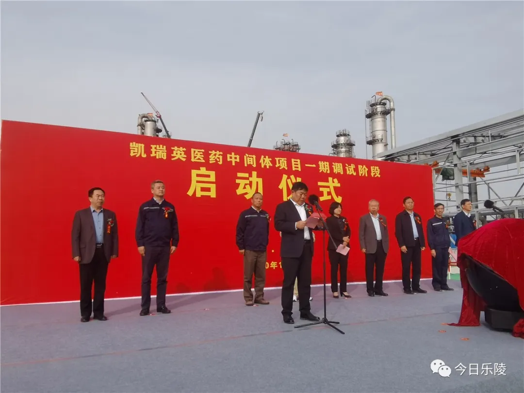 乐陵市重点项目——凯瑞英医药中间体一期项目成功调试启用