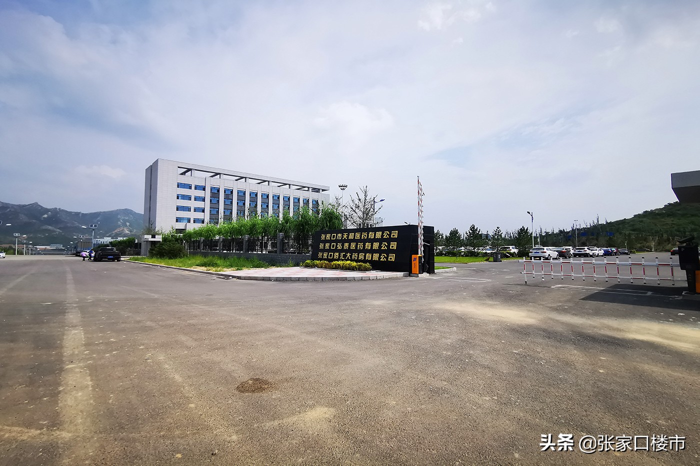 医药公司、新大厦、外企项目…老城区万亩新兴产业园新进展实探