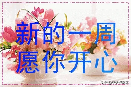 新的一周早晨正能量问候祝福语句，周一最美的早安祝福表情图片图片