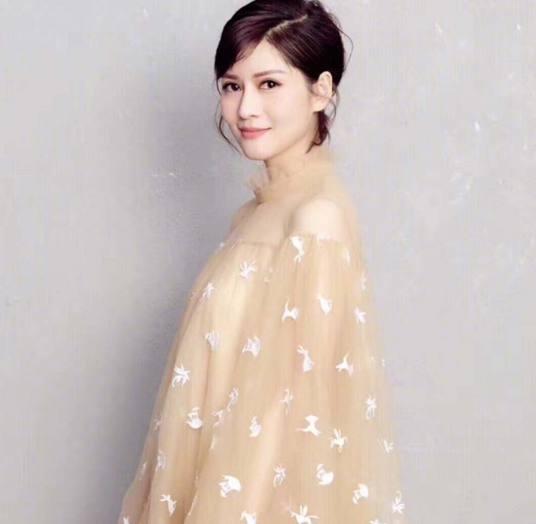 2009年,“凤凰卫视一姐”沈星和冯小刚被曝“夜宿