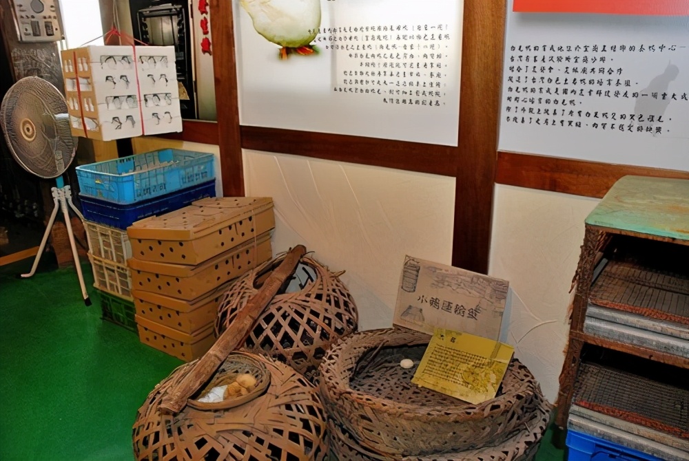 看完博士鸭，变成鸭博士
