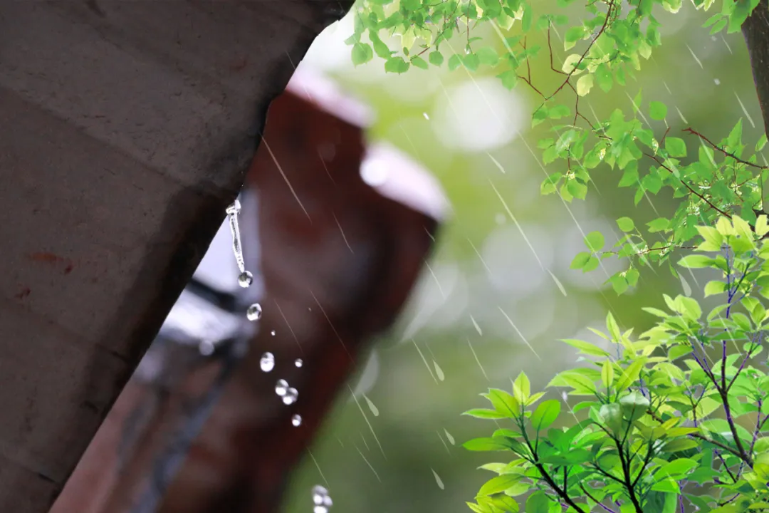 诗人深夜失眠听了一夜春雨，写下一首绝美宋诗，惊艳后世八百余年