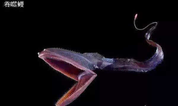 大海到底多深？说出来你都不一定会相信？海底