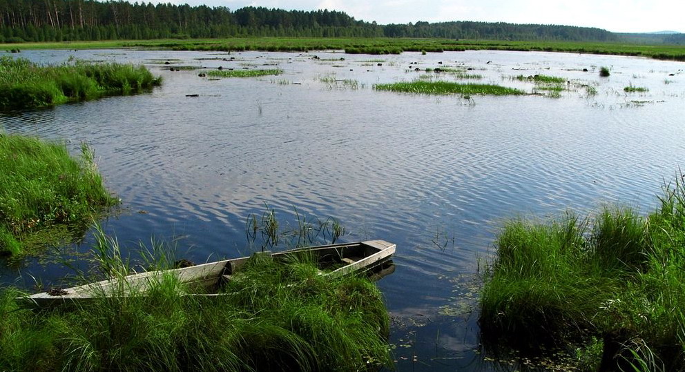 八百里洞庭湖，今昔盛衰演变｜在古老的大河边寻觅