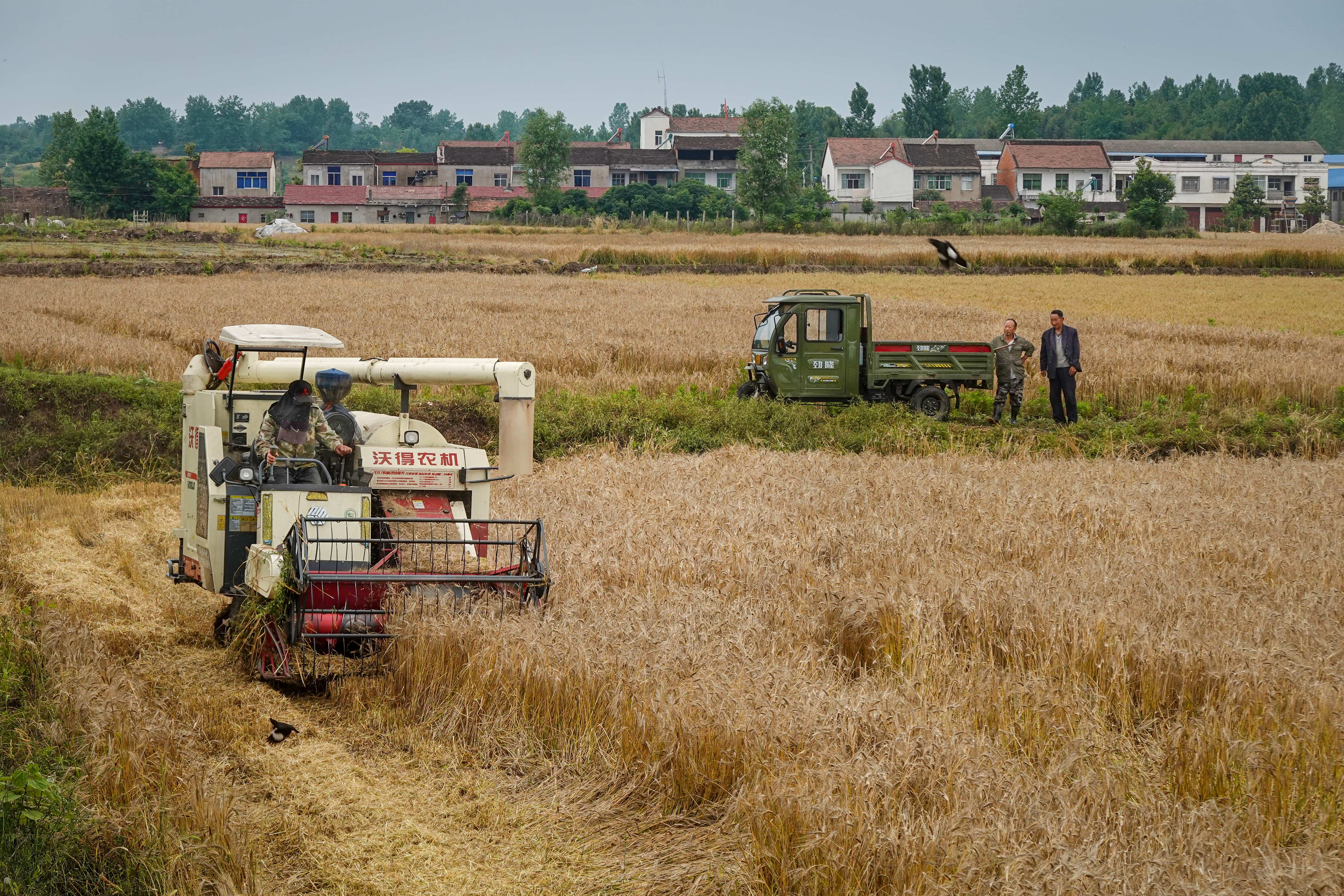 随南梯田美如画
