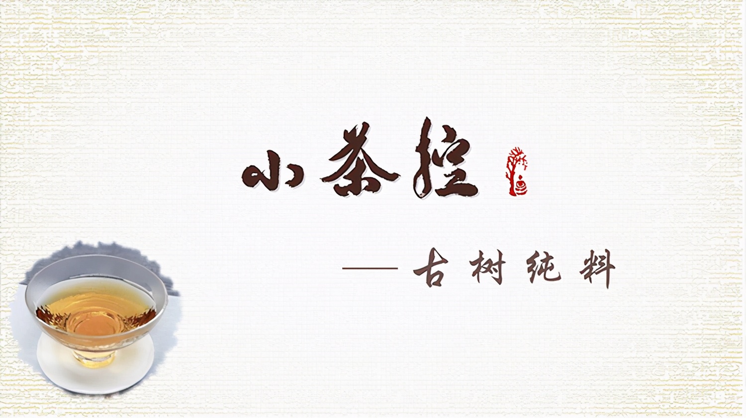古树茶品牌“小茶控”，想将百年古树的茶滋味献给最懂品尝的您