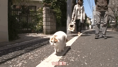 豆瓣9.0，风靡岛国十年，国民女神集体为它沦陷