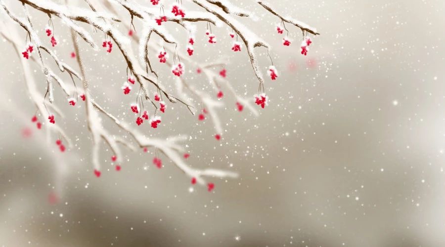 8首冬日诗词，写尽冬日之美：岁月寒凉，因你温暖-第7张图片-诗句网
