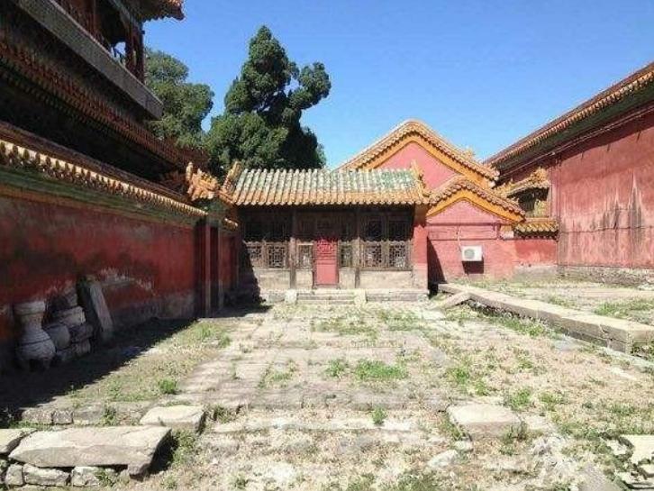 The Empress Of The Cold Palace The mystery of the cold palace of the Forbidden City?How many women are