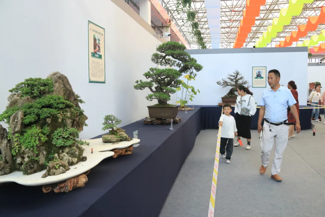 大饱眼福，第八届中国沭阳花木节竟如斯出色！你想看的全在这里…
