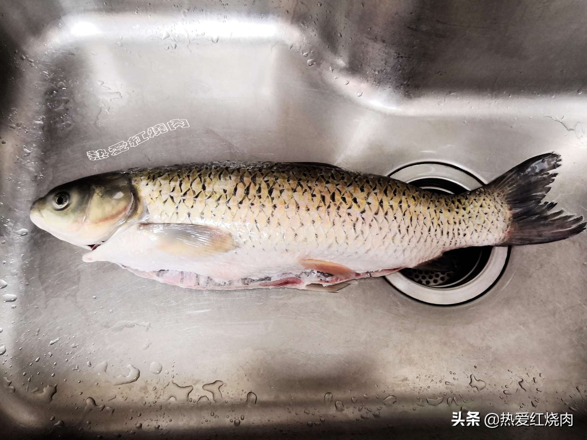 28元買了條大草魚，做成魚丸一大鍋，口感Q彈無添加一點也不腥